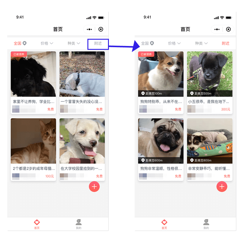 附近宠物信息